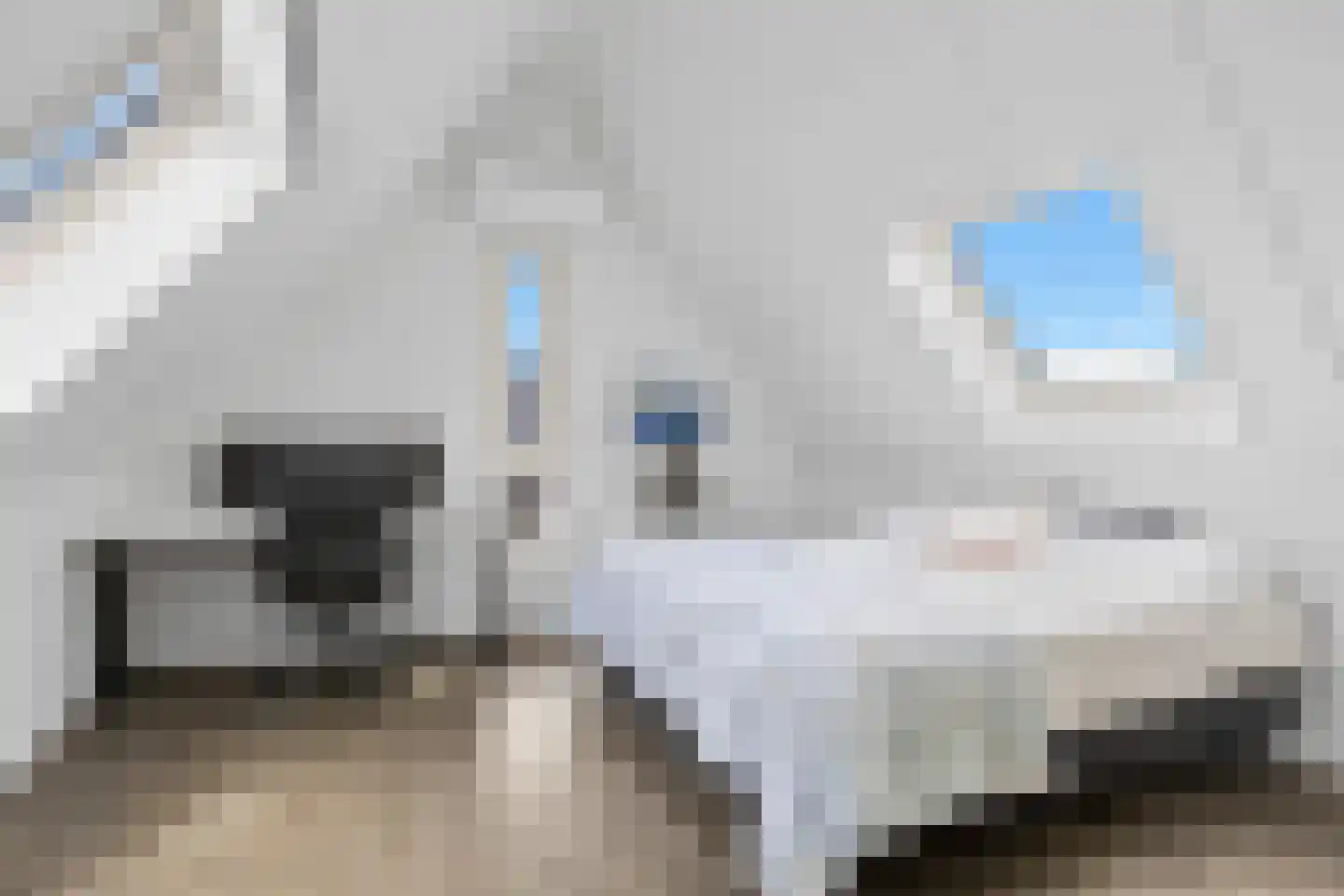 Monarchvlinderlaan 2 Culemborg thumbnail 43