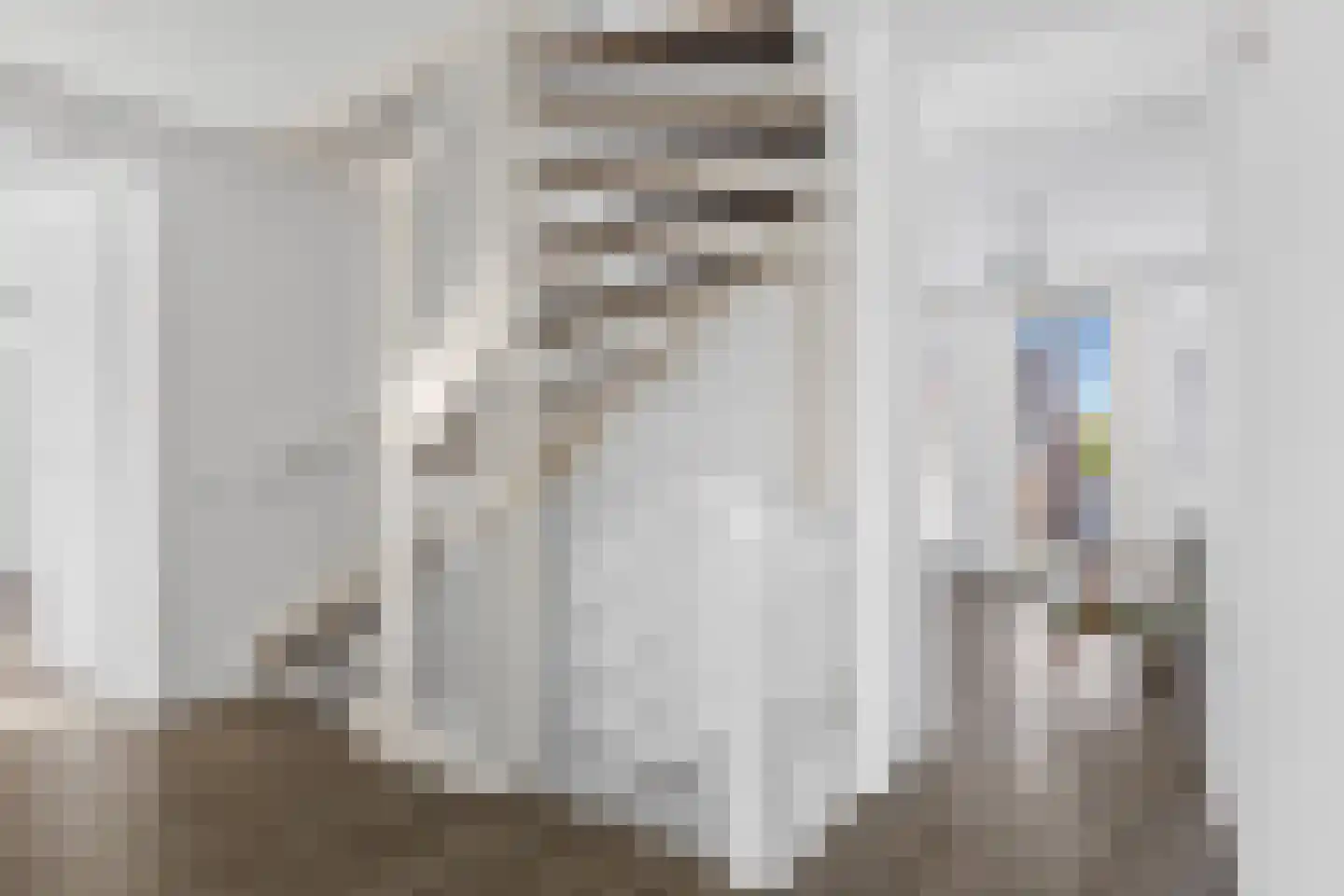 Monarchvlinderlaan 2 Culemborg thumbnail 46