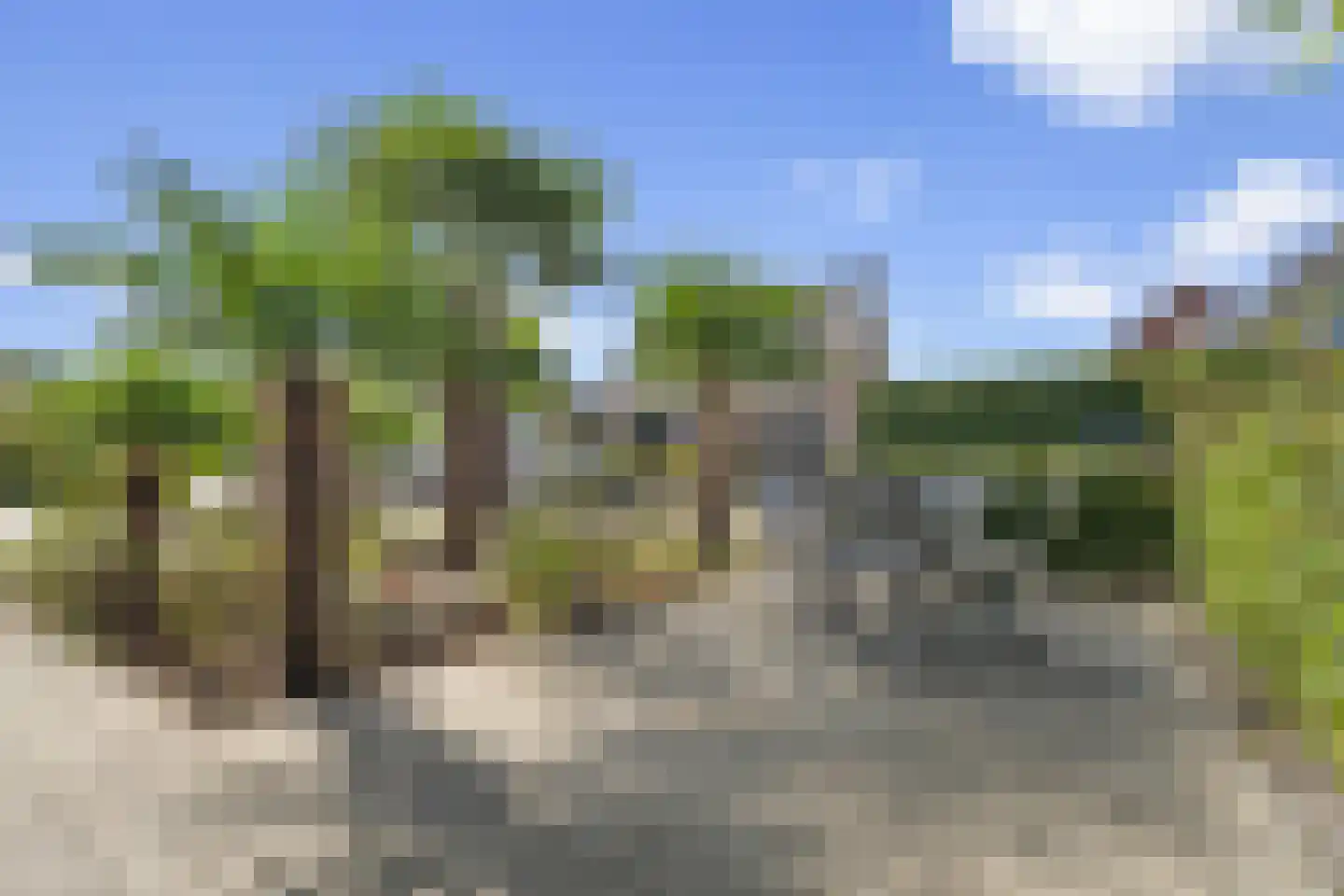 Monarchvlinderlaan 2 Culemborg thumbnail 51