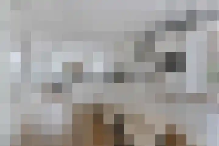 Monceaupark 2 Purmerend foto 3