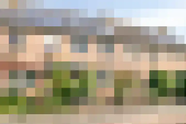 Mondafseweg 3 Bergen op Zoom thumbnail 4