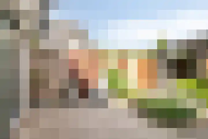 Mondafseweg 3 Bergen op Zoom thumbnail 41