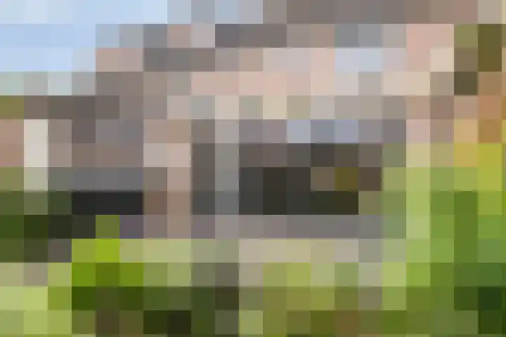 Mondafseweg 3 Bergen op Zoom thumbnail 42