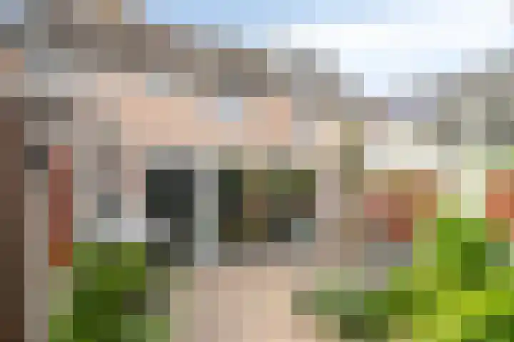 Mondafseweg 3 Bergen op Zoom thumbnail 49