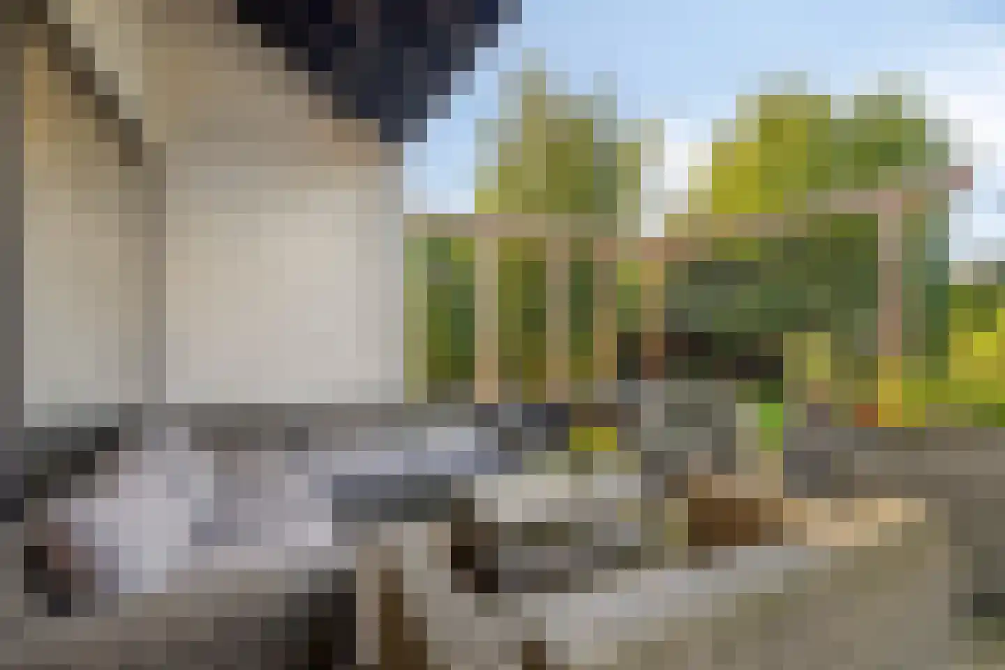 Mondafseweg 43 Bergen op Zoom thumbnail 33