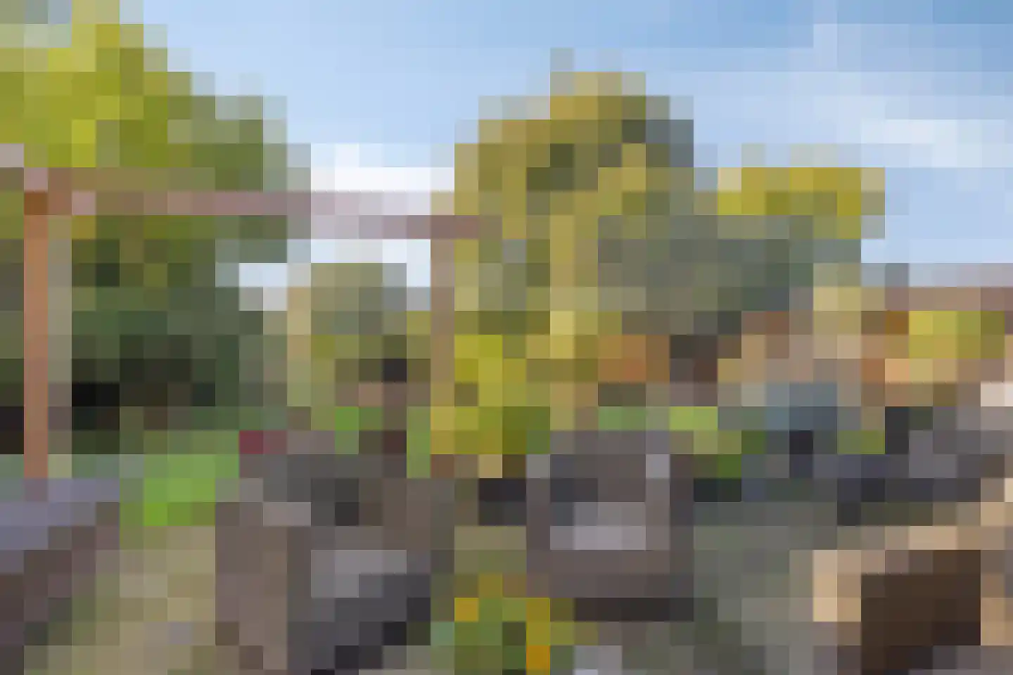 Mondafseweg 43 Bergen op Zoom thumbnail 34