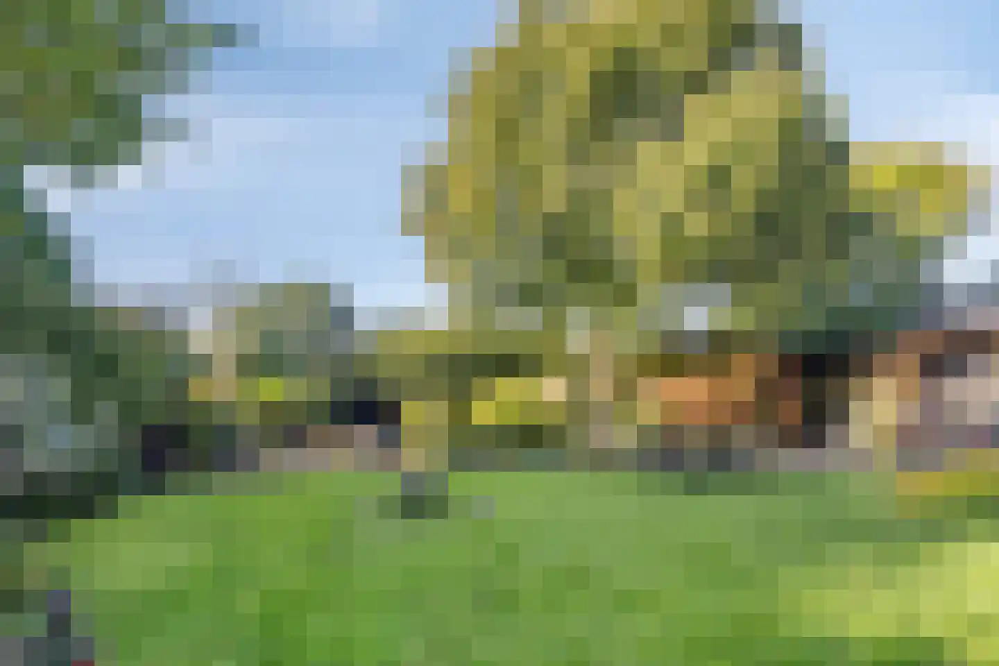 Mondafseweg 43 Bergen op Zoom thumbnail 35