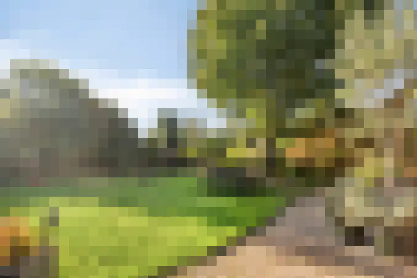 Mondafseweg 43 Bergen op Zoom thumbnail 38