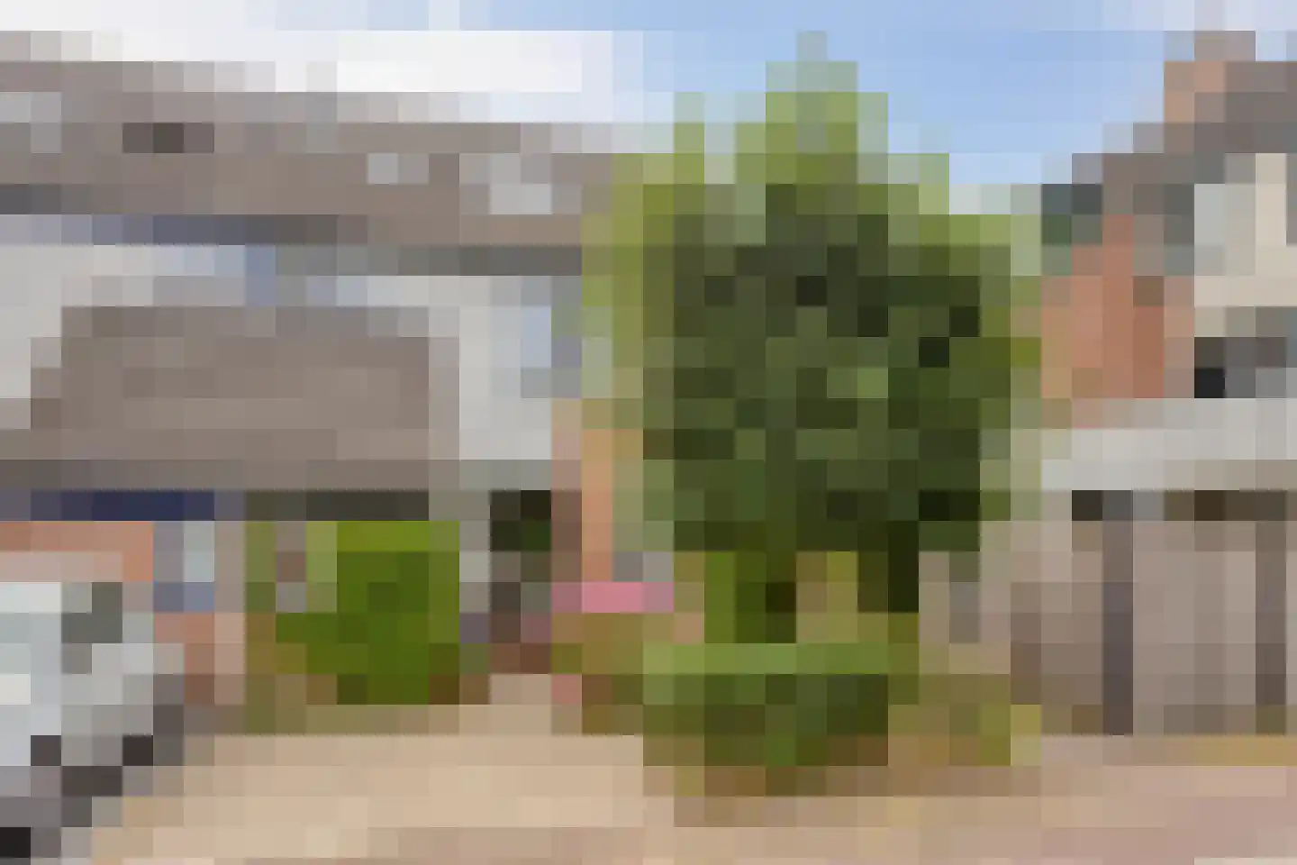 Mondlanestraat 8 Leiden thumbnail 8