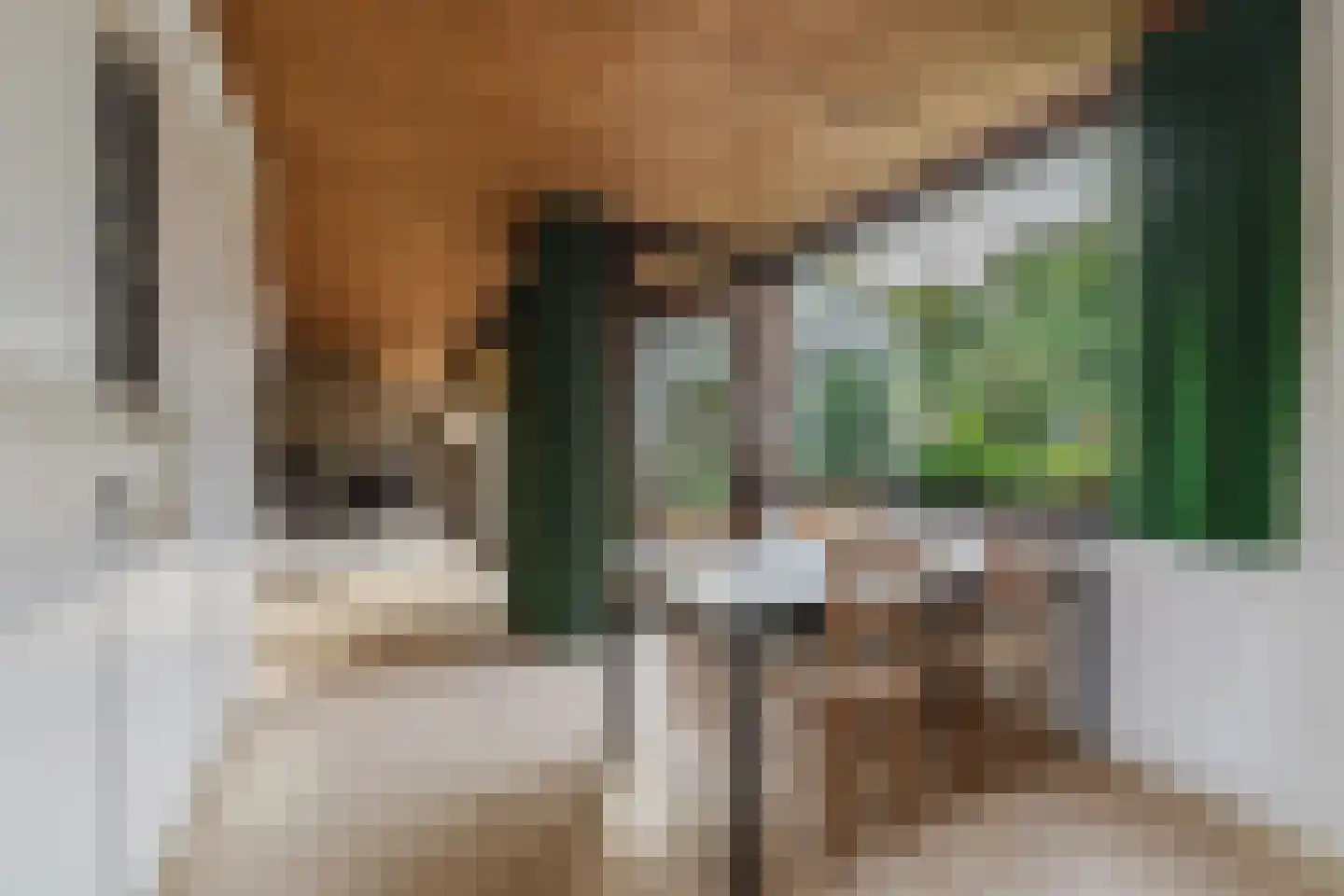 Mondorfweg 5 Eindhoven thumbnail 13