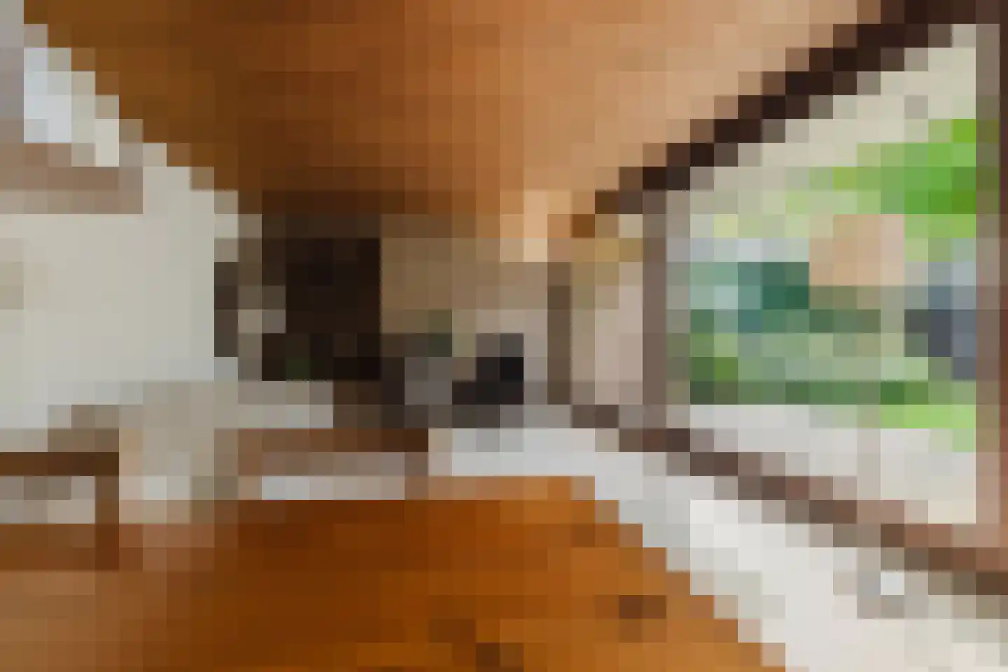 Mondorfweg 5 Eindhoven thumbnail 16