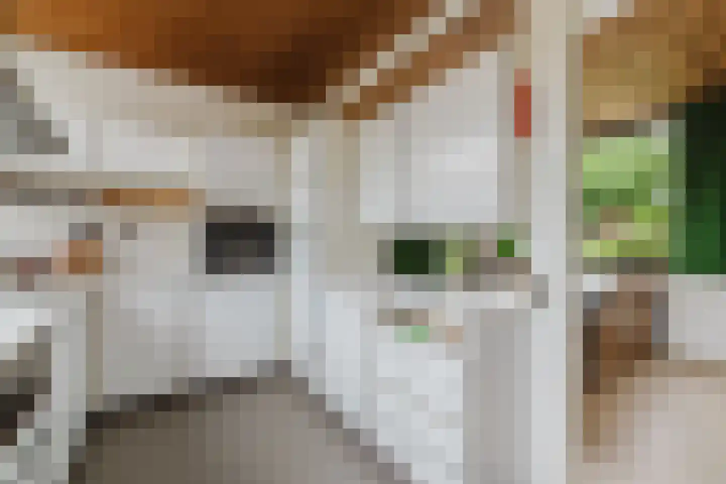 Mondorfweg 5 Eindhoven thumbnail 17
