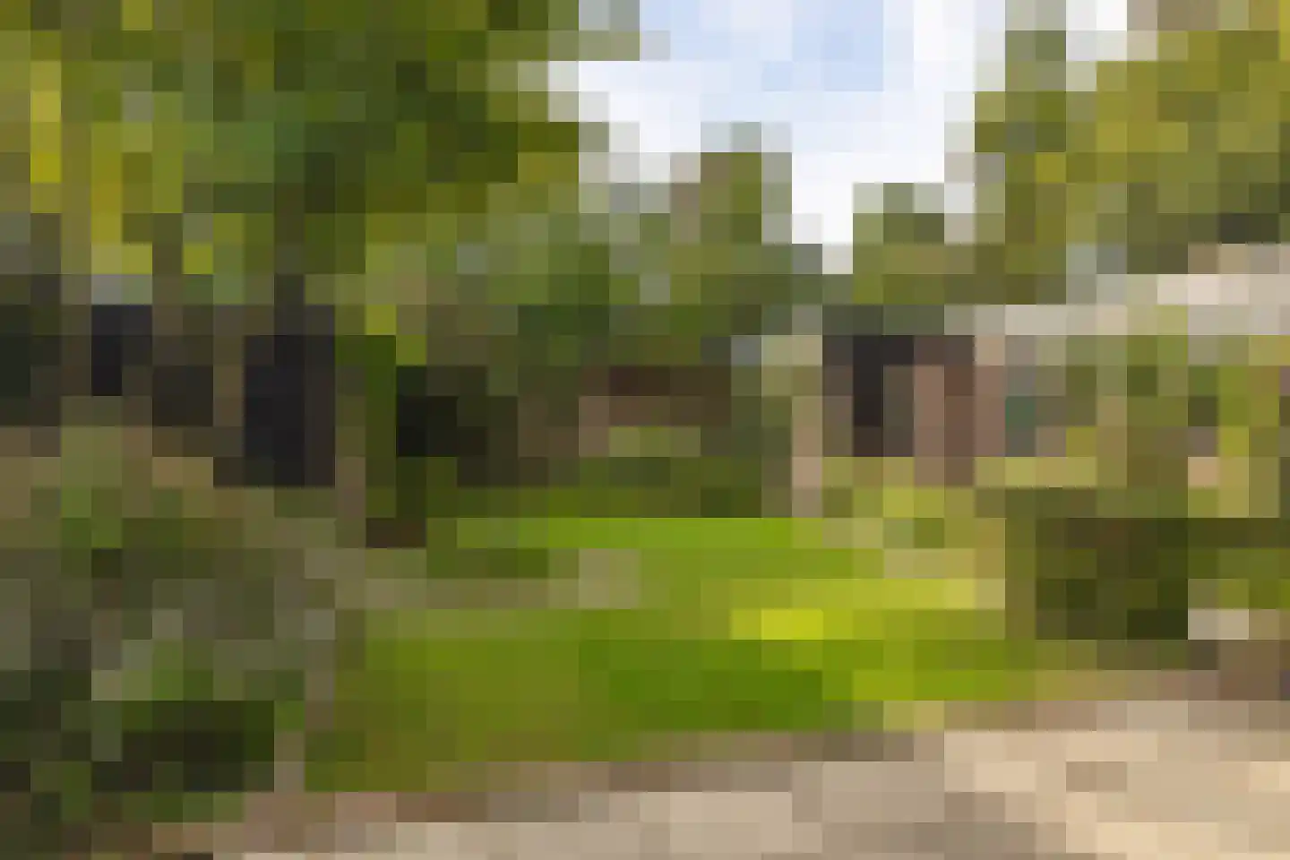 Mondorfweg 5 Eindhoven thumbnail 44
