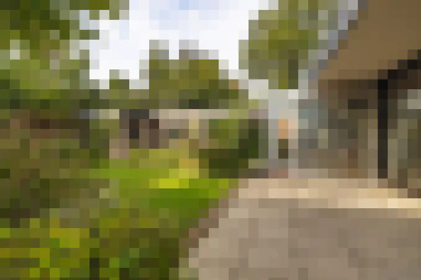 Mondorfweg 5 Eindhoven thumbnail 45