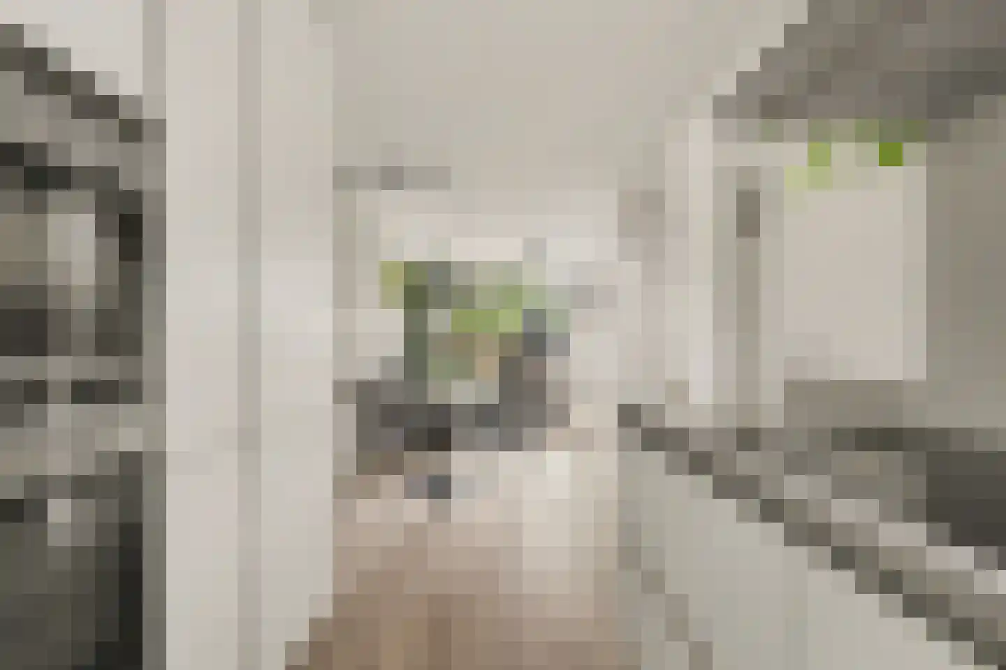 Mondriaan 2 Monster thumbnail 11