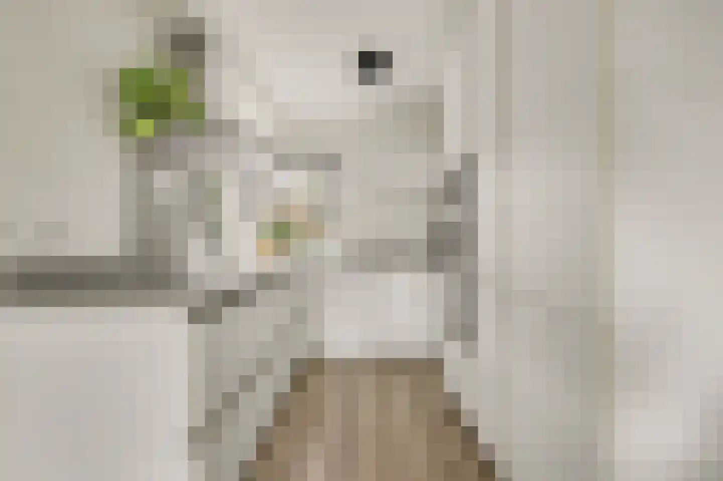 Mondriaan 2 Monster thumbnail 12