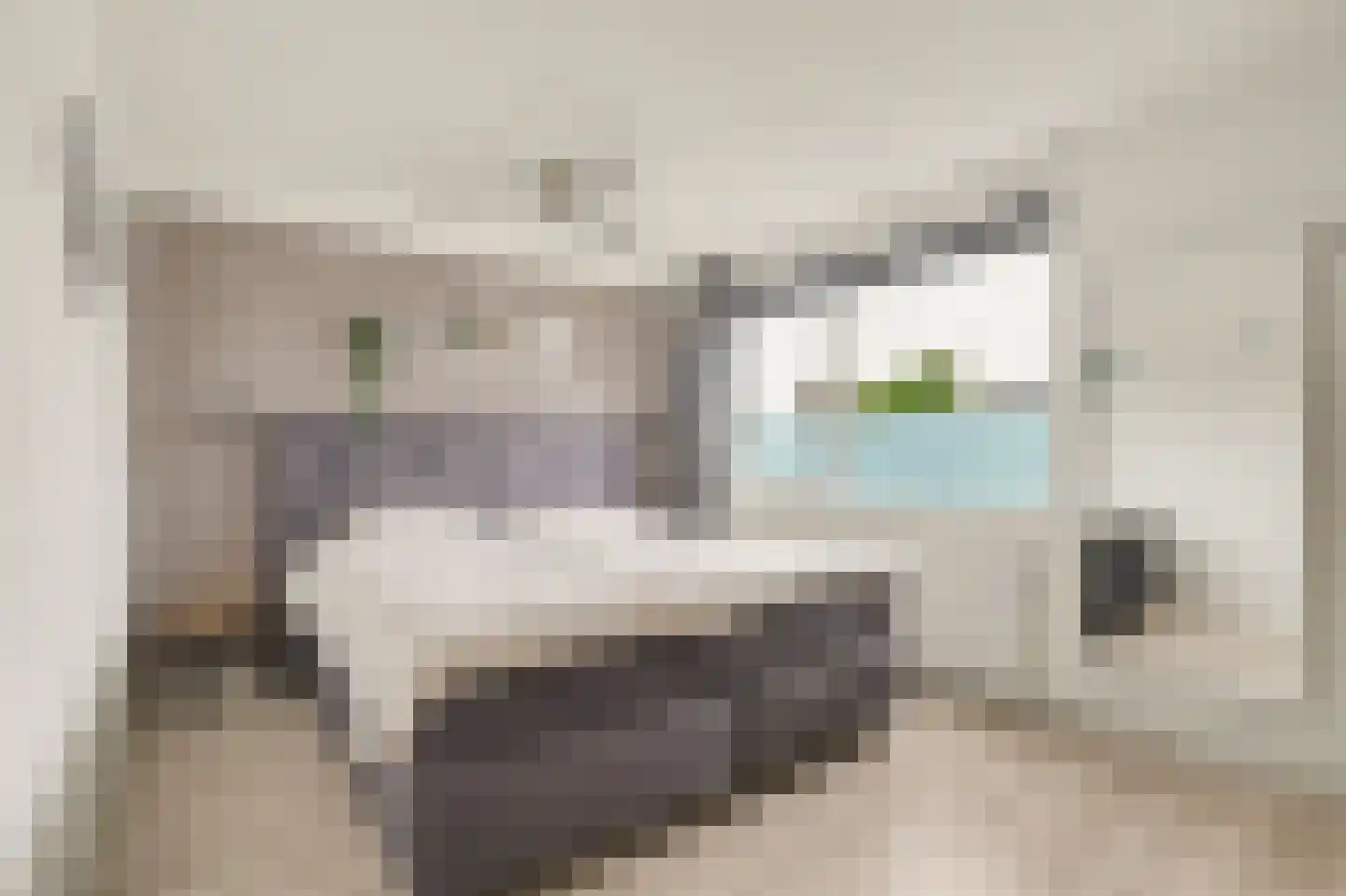 Mondriaan 2 Monster thumbnail 16