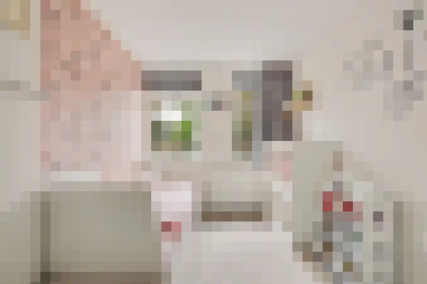 Mondriaan 2 Monster thumbnail 20