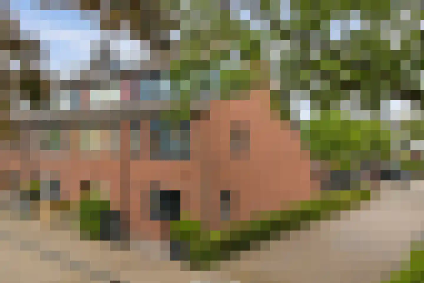 Mondriaan 2 Monster thumbnail 38