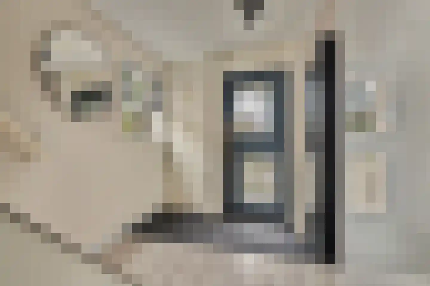 Mondriaan 2 Monster thumbnail 5