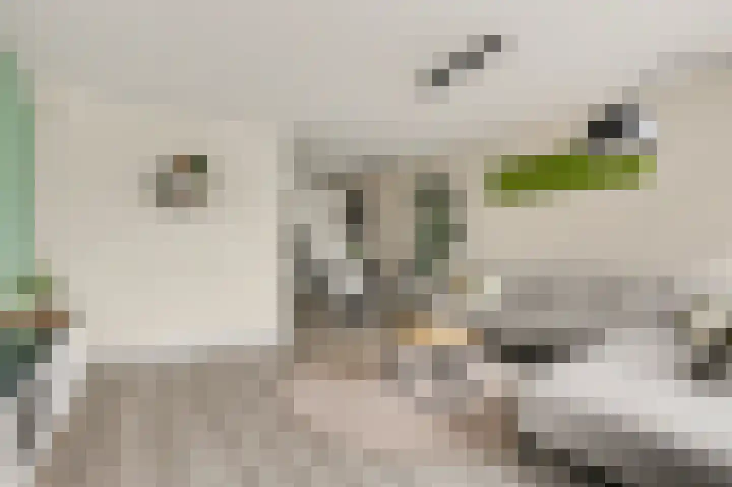 Mondriaan 2 Monster thumbnail 7