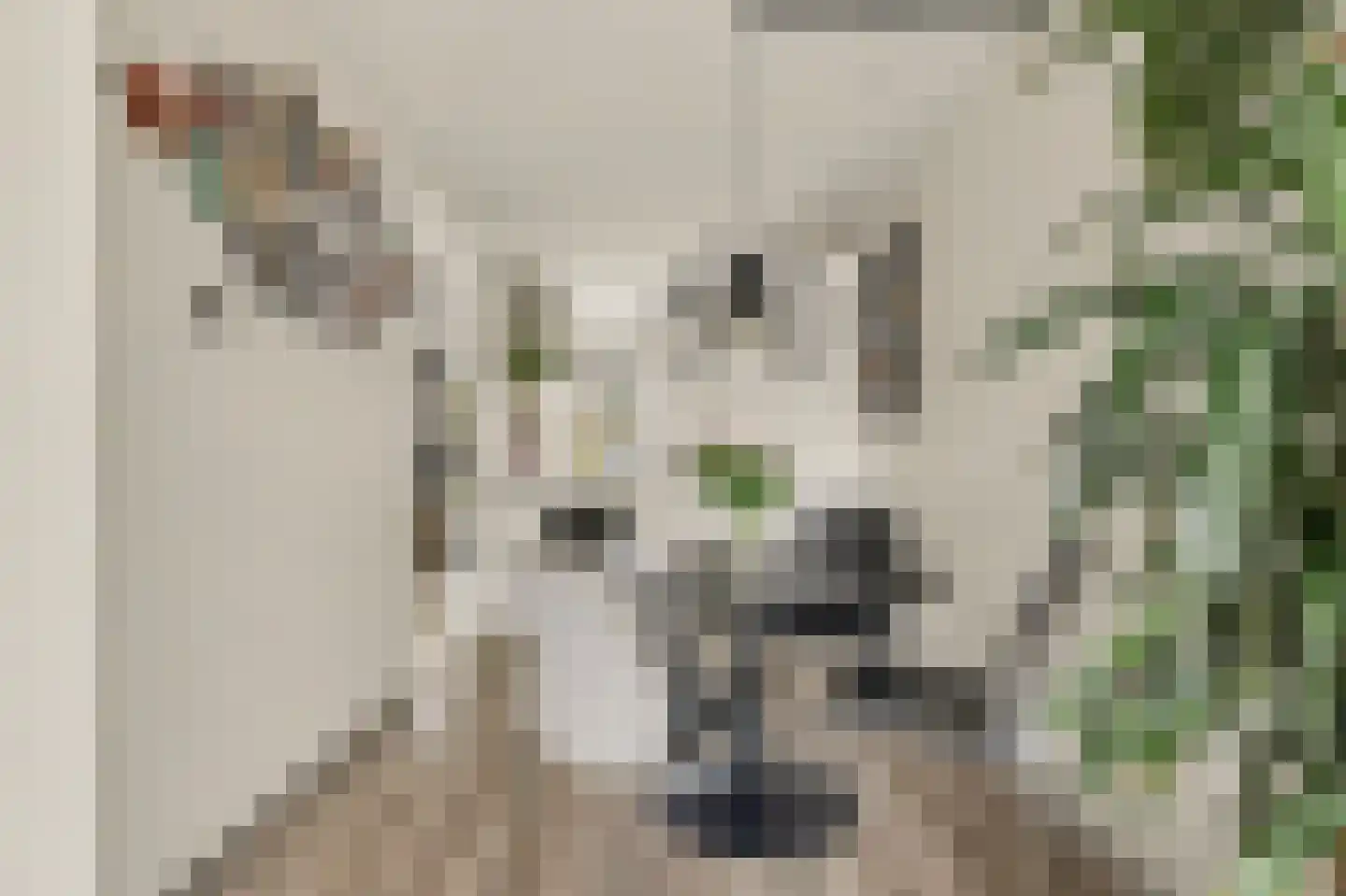 Mondriaan 2 Monster thumbnail 9
