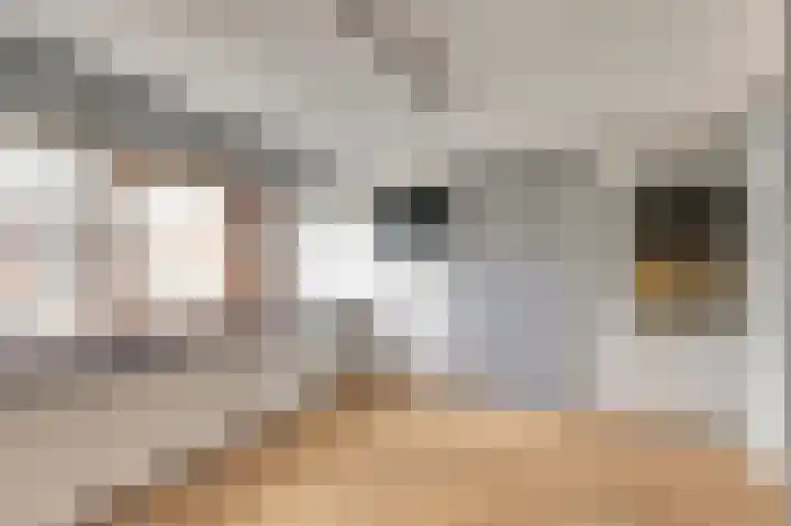 Mondriaan 33 Monster thumbnail 19