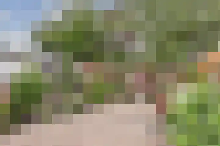 Mondriaan 33 Monster thumbnail 22