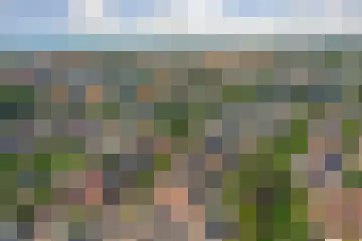 Mondriaan 33 Monster thumbnail 28