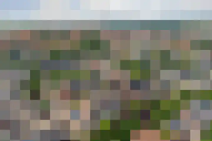 Mondriaan 33 Monster thumbnail 29
