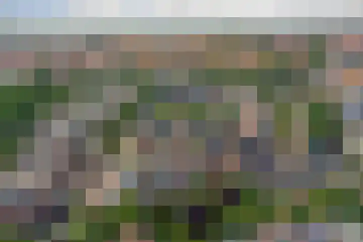 Mondriaan 33 Monster thumbnail 30
