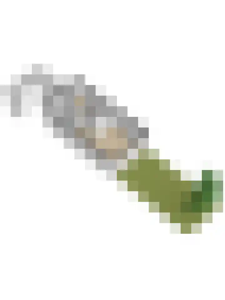 Mondriaan 33 Monster thumbnail 43