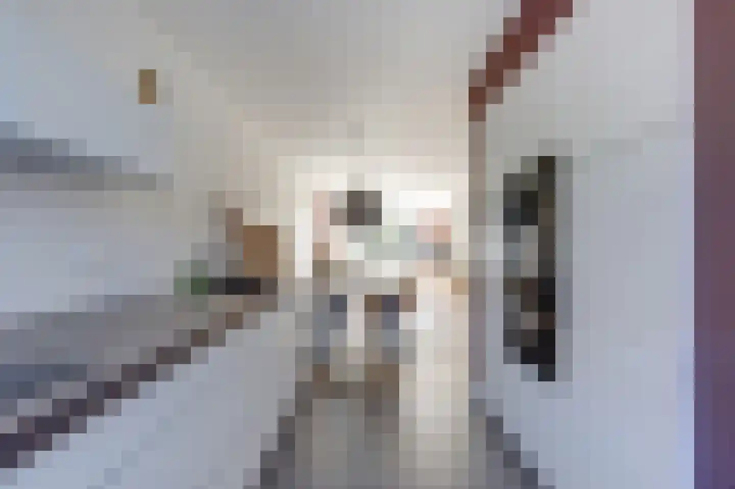 Mondriaan 41 Monster thumbnail 13