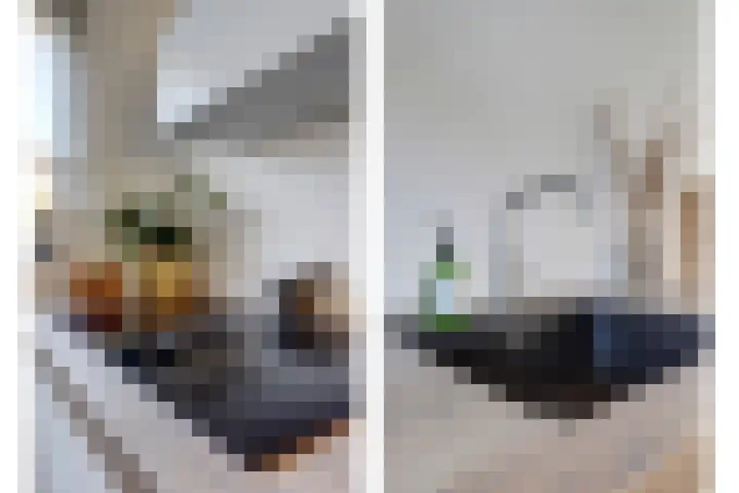Mondriaan 41 Monster thumbnail 14