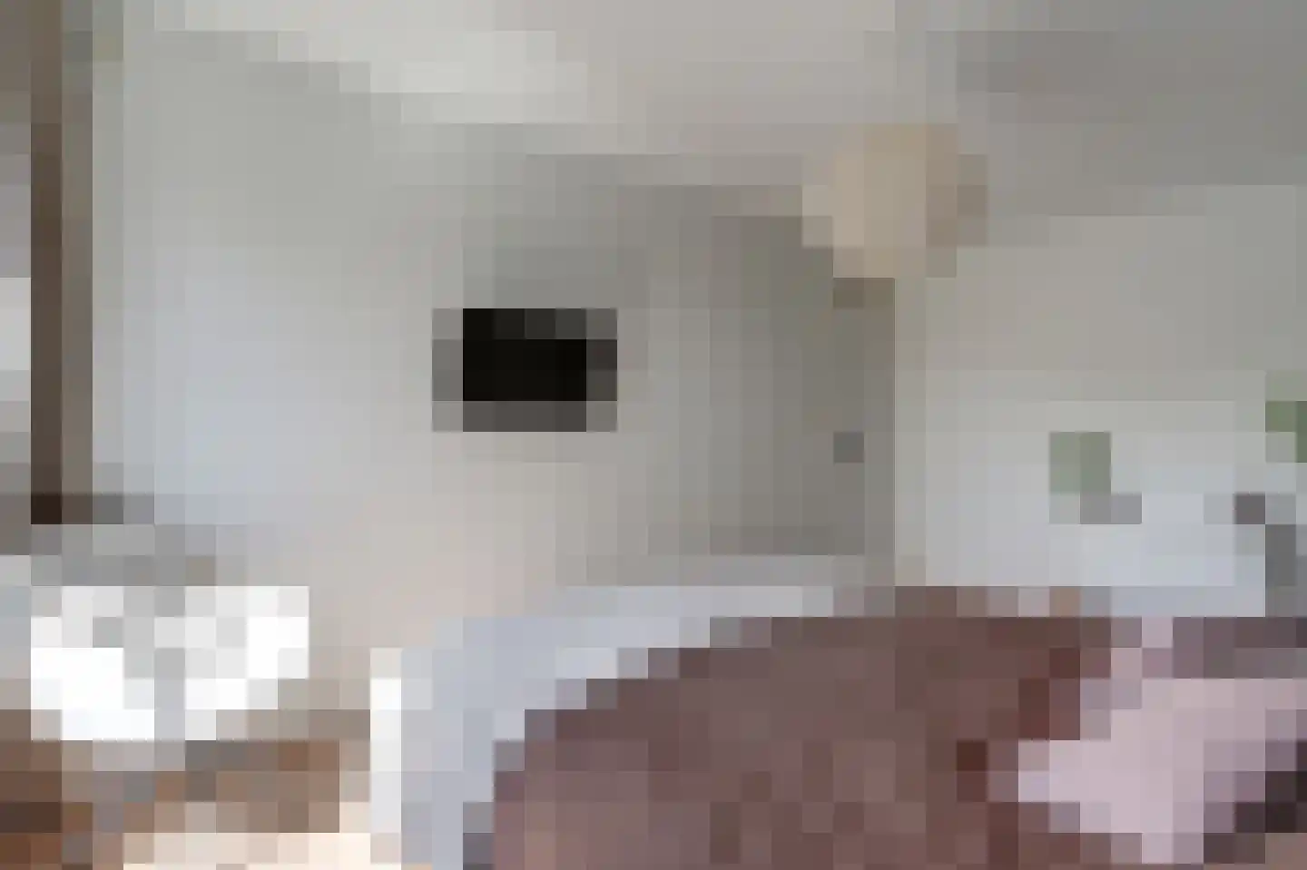 Mondriaan 41 Monster thumbnail 17