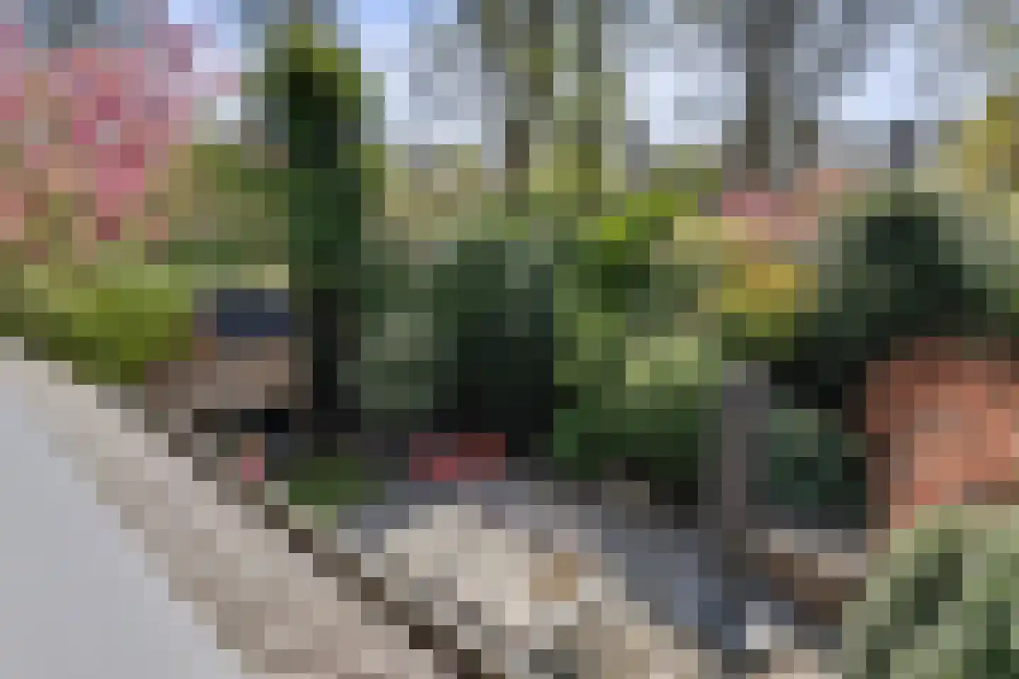 Mondriaan 41 Monster thumbnail 31