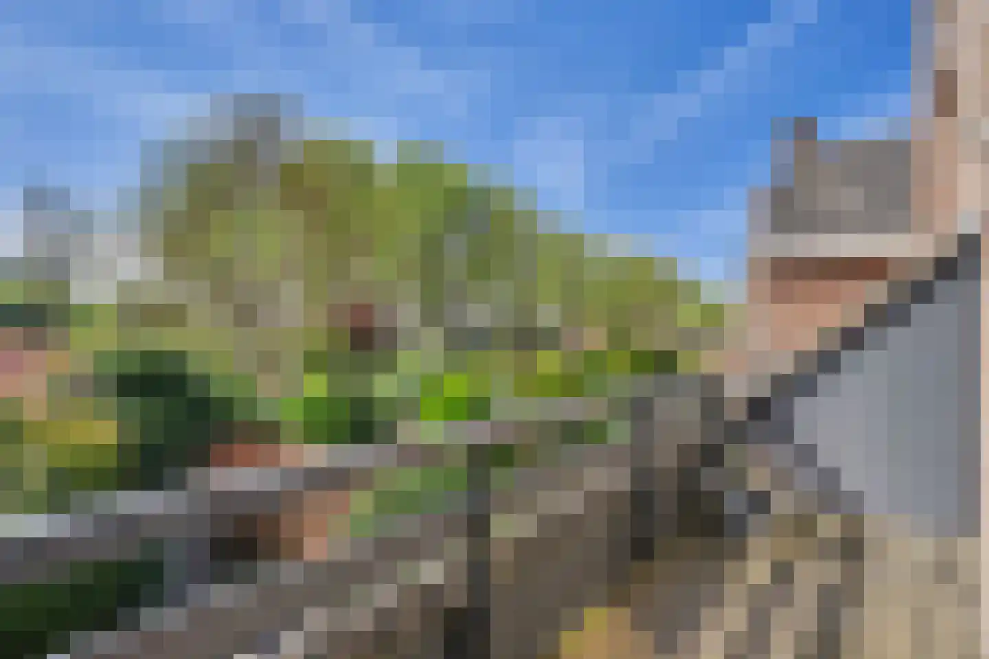 Mondriaan 41 Monster thumbnail 32