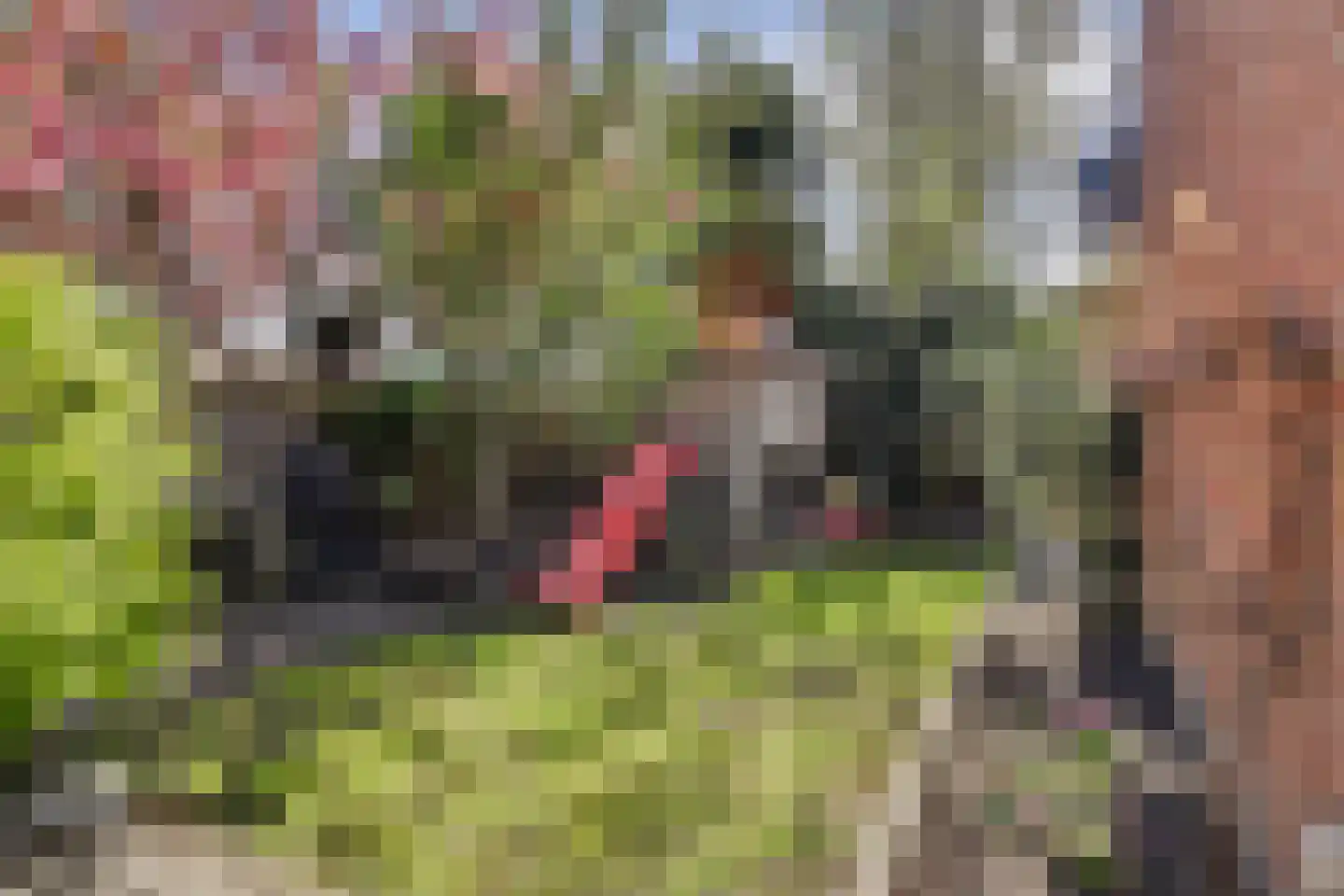 Mondriaan 41 Monster thumbnail 36