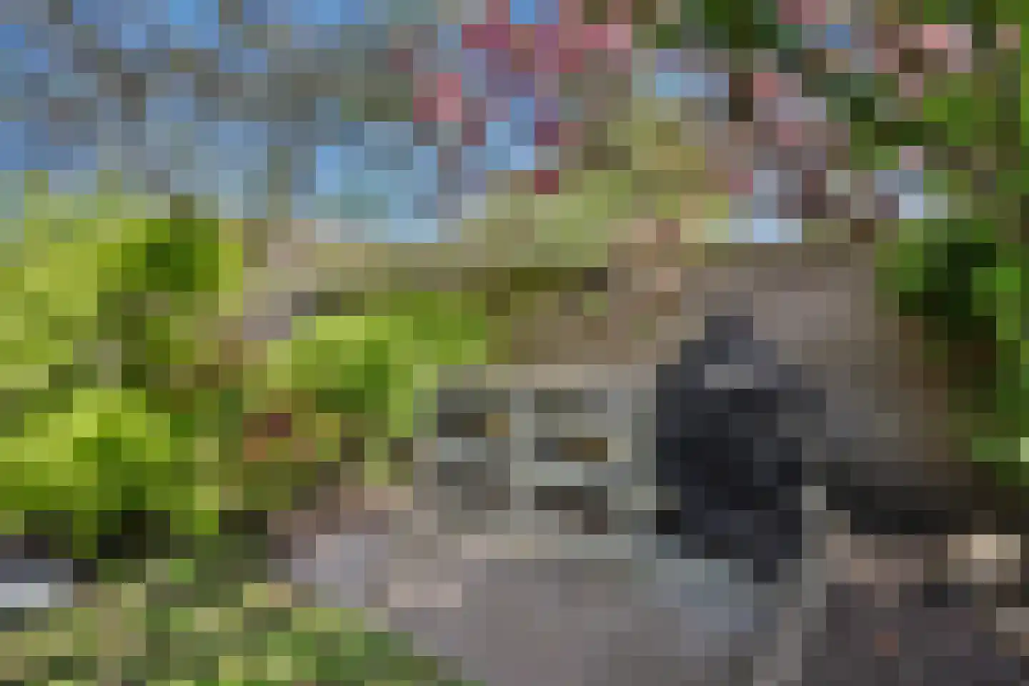 Mondriaan 41 Monster thumbnail 37