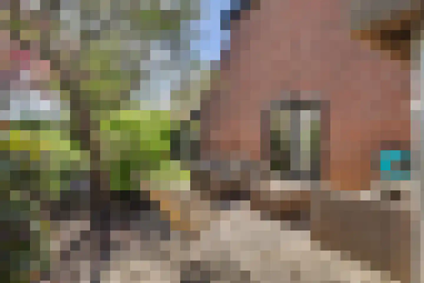 Mondriaan 41 Monster thumbnail 41