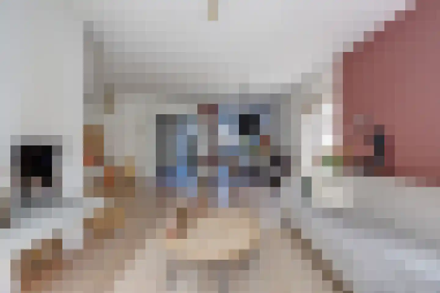 Mondriaan 41 Monster thumbnail 5