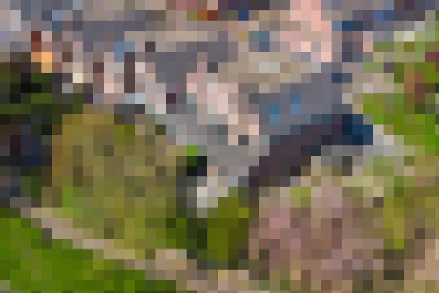 Mondriaan 41 Monster thumbnail 50