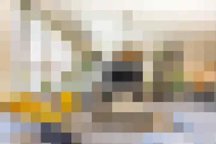 Mondriaan 42 Monster thumbnail 5