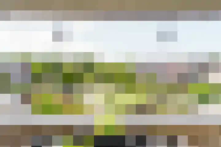 Mondriaan 44 Monster thumbnail 18