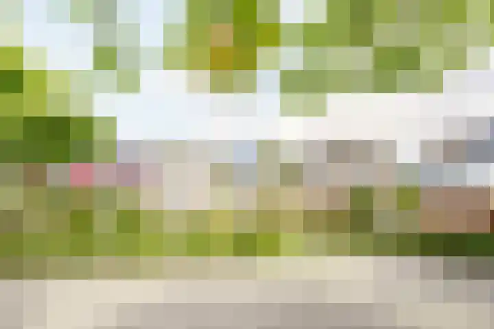 Mondriaan 44 Monster thumbnail 19