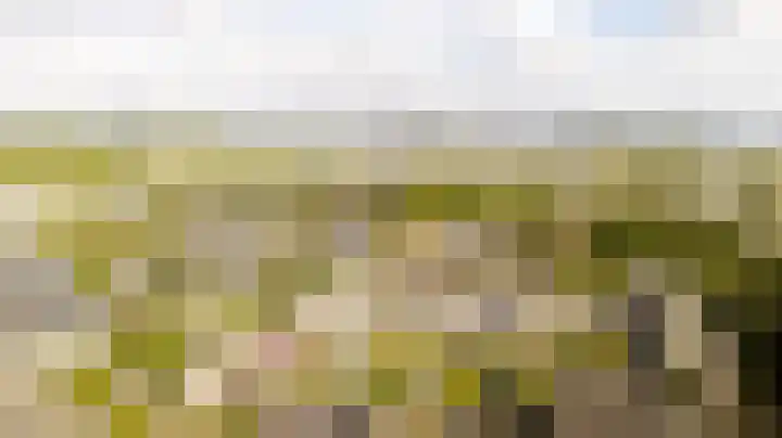 Mondriaan 44 Monster thumbnail 21