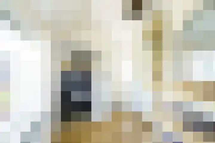 Mondriaan 44 Monster thumbnail 4