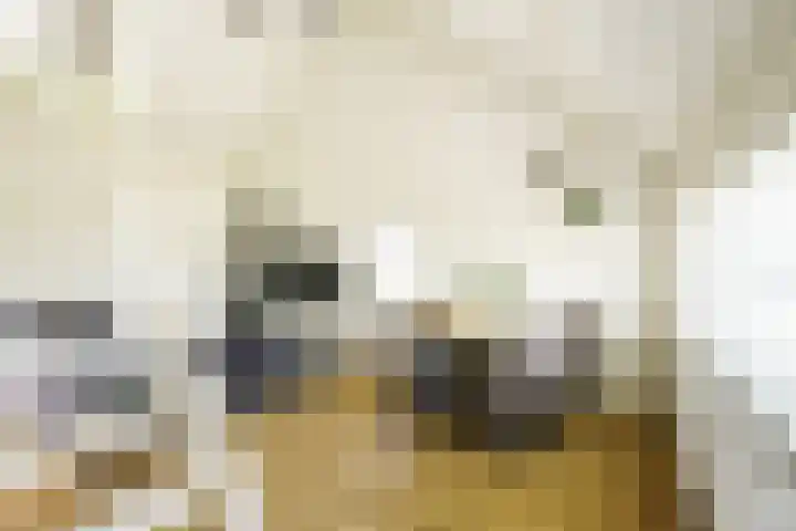 Mondriaan 44 Monster thumbnail 6