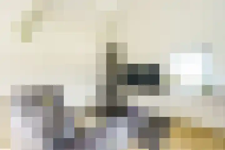 Mondriaan 44 Monster thumbnail 8