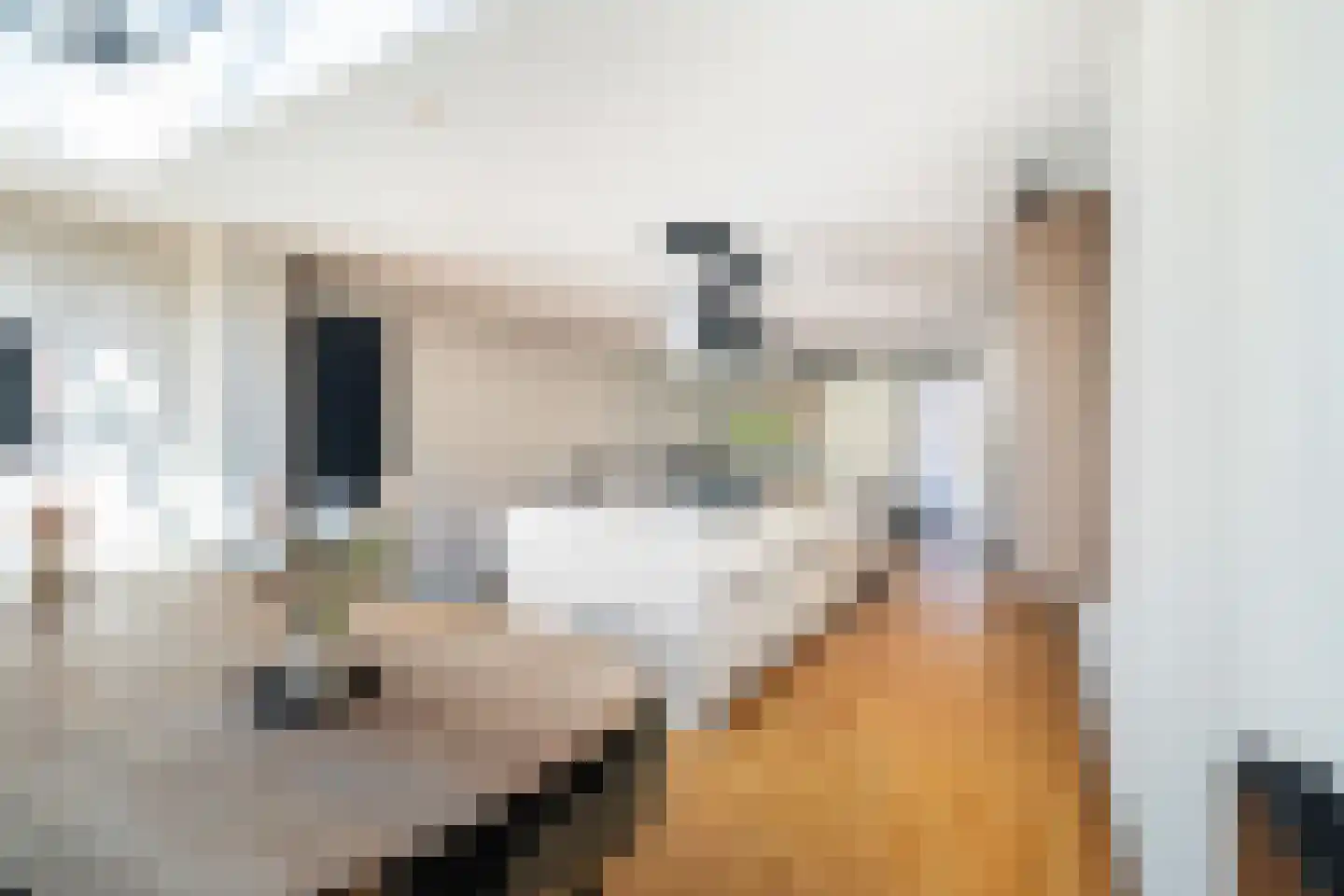 Mondriaan 5 Monster thumbnail 23